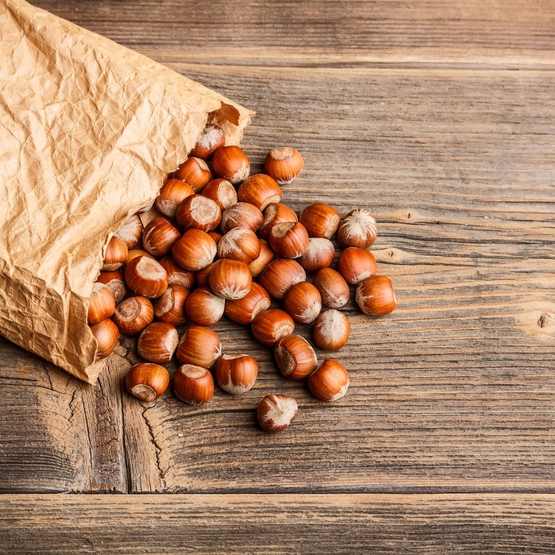 Nocciola Tonda Gentile Romana