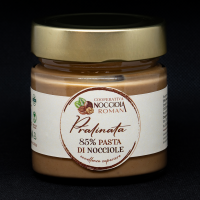 crema-nocciole-pralinata